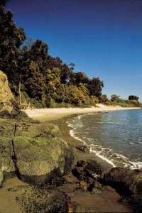 Quarry Beach ~ a little slice of Haven on Angel Island State Park