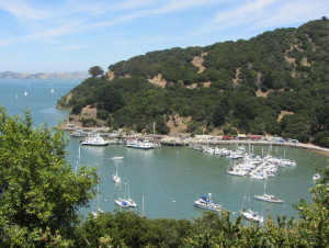 Getting there is half the fun with a ride on The Angel Island Tiburon Ferry.