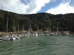 Paradise is just a quick 10-minute ferry ride from Tiburon, California aboard Angel Island - Tiburon Ferry.