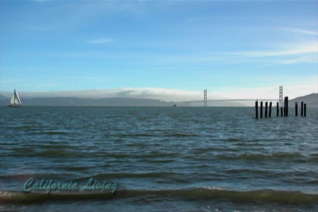 View of Golden Gate Bridge from Angel Island State Park