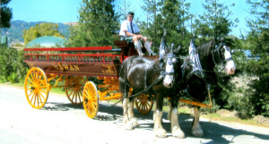 Experience a Horse-drawn Carriage Ride through the quaint streets of Tiburon, California Dec. 5, 2015.